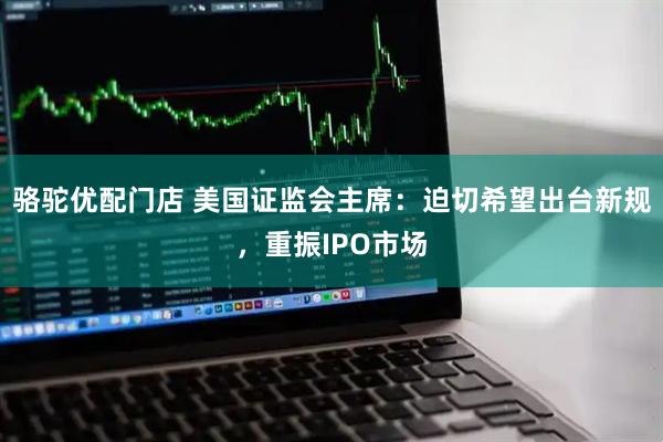 骆驼优配门店 美国证监会主席：迫切希望出台新规，重振IPO市场