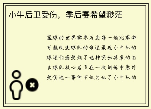小牛后卫受伤，季后赛希望渺茫