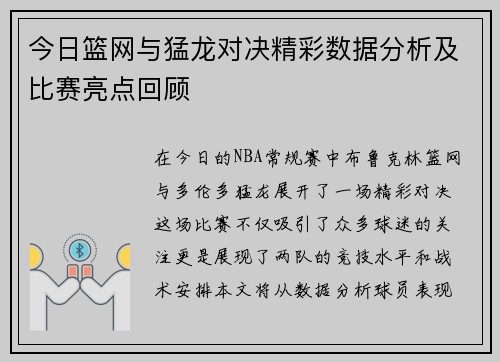今日篮网与猛龙对决精彩数据分析及比赛亮点回顾