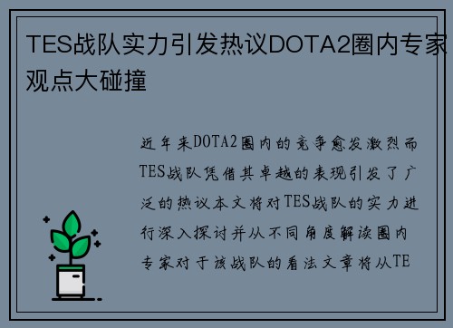 TES战队实力引发热议DOTA2圈内专家观点大碰撞